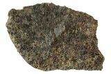 Diogenite Meteorite ( g) Slice - From Vesta Micro-Planet #281478-1